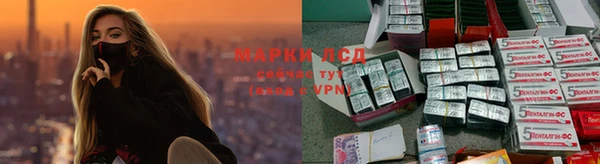 прущие грибы Алексин